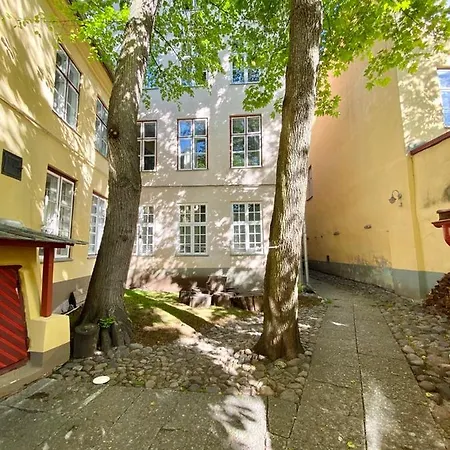 Apartment Old Town Lai Street With Private Parking
