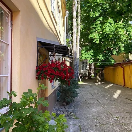 Old Town Lai Street With Private Parking Apartment